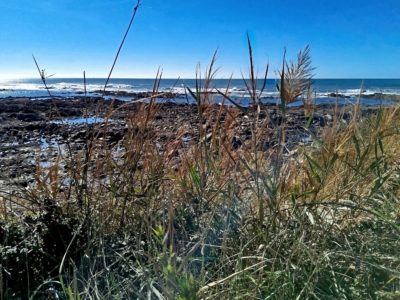 La Paracou, côte sauvage de la Chaume