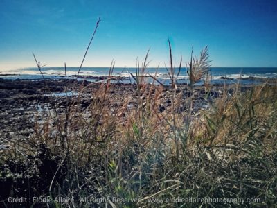 La Paracou, côte sauvage de la Chaume