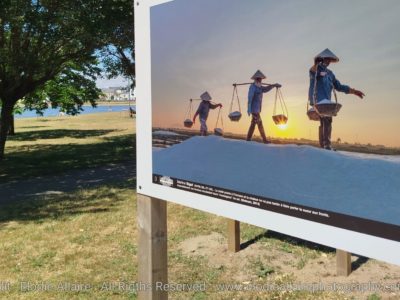 Deux expositions photo à ne pas manquer cet été