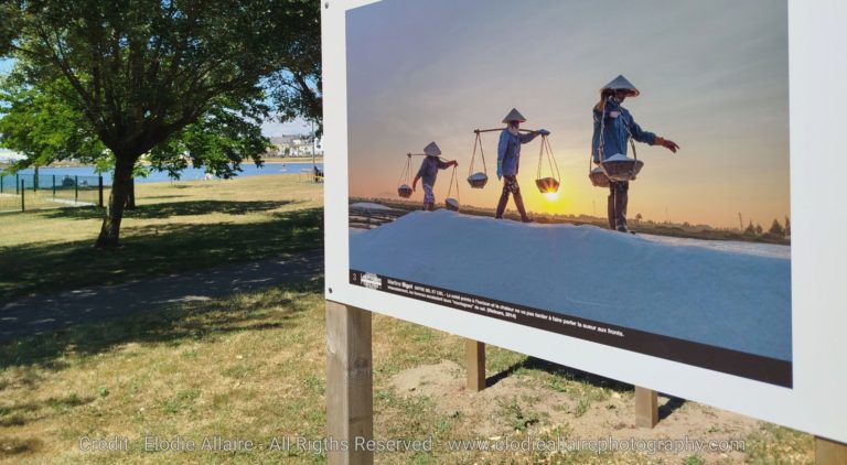 Lire la suite à propos de l’article Deux expositions photo à ne pas manquer cet été