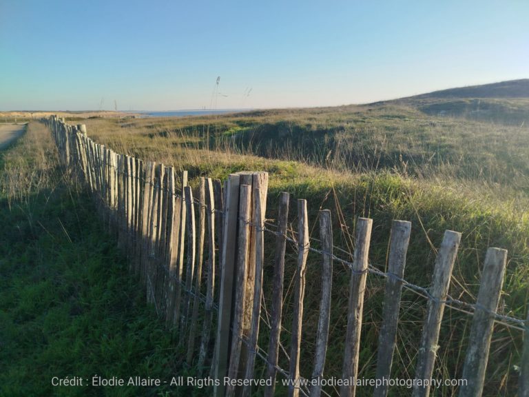 Lire la suite à propos de l’article L&rsquo;heure d&rsquo;hiver